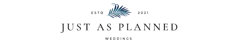 Just as Planned Magazine Logo
